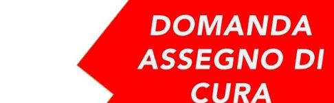 BANDO DI CONTRIBUTO 2024/2025 - 'ASSEGNO DI CURA PER ANZIANI NON AUTOSUFFICIENTI' 