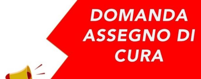 BANDO DI CONTRIBUTO 2024/2025 - 'ASSEGNO DI CURA PER ANZIANI NON ...